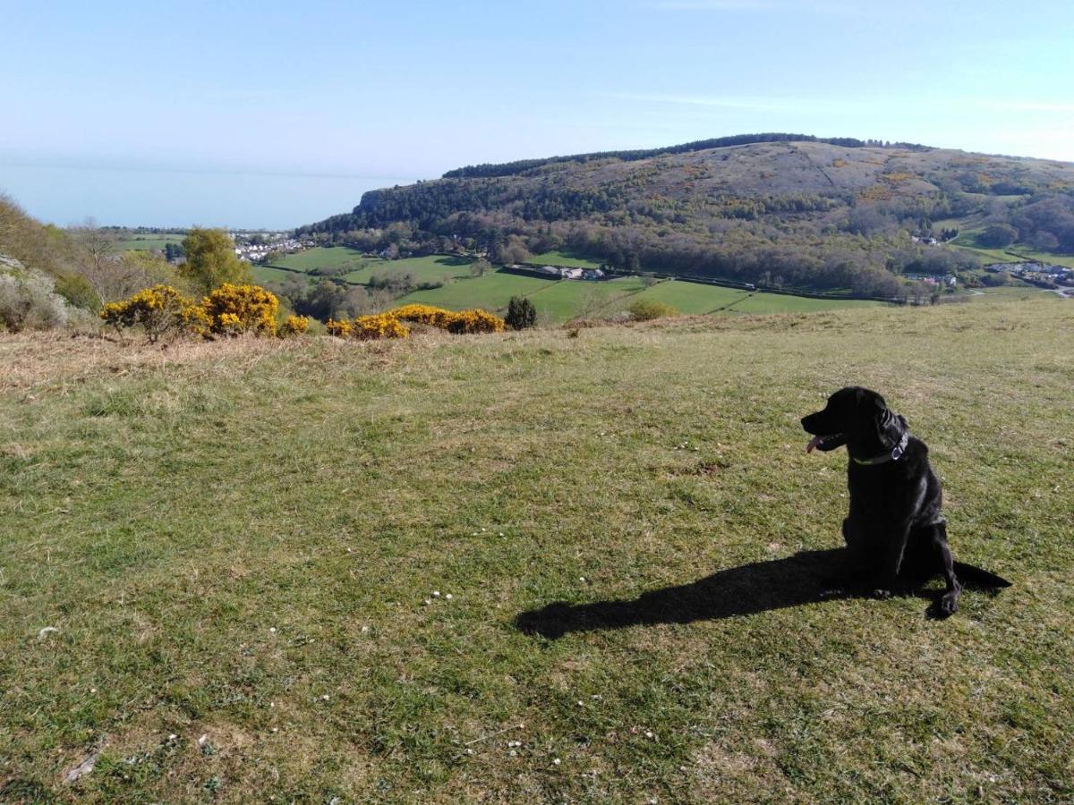 Yr Wyddfa Bell Tent - Pen Cefn Farm, Abergele, Conwy Luxury tent *
